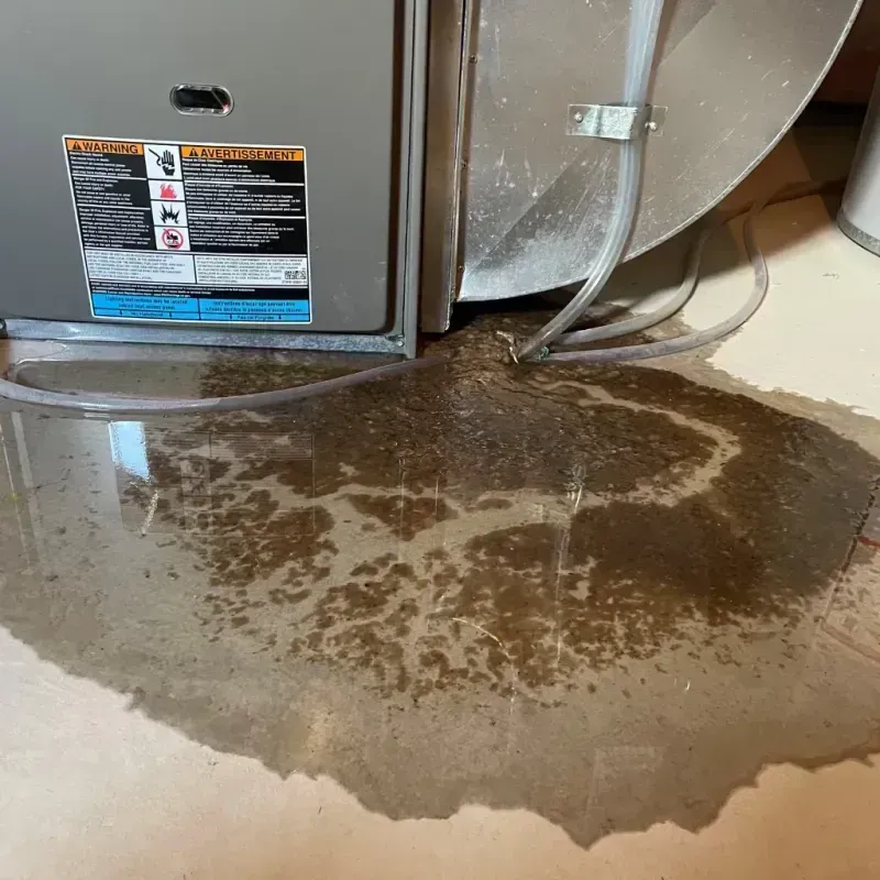 Appliance Leak Cleanup in Chattanooga Valley, GA